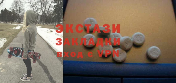 хмурый Аркадак