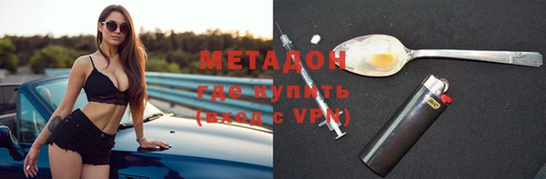 хмурый Аркадак