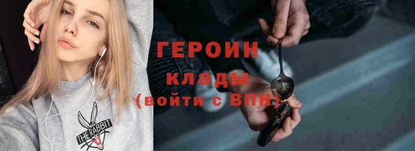 хмурый Аркадак