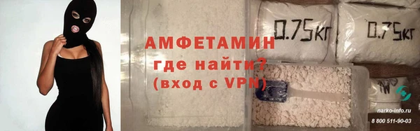 хмурый Аркадак
