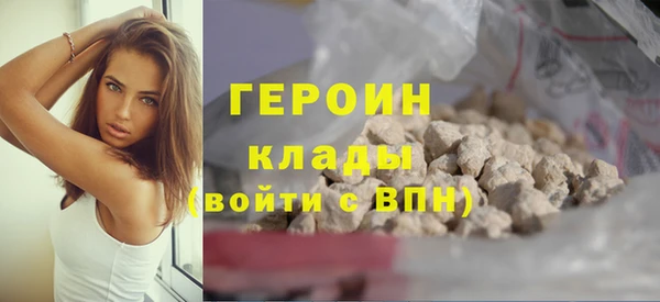 хмурый Аркадак