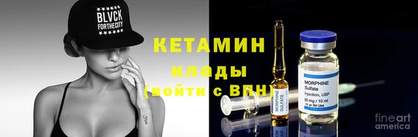 хмурый Аркадак