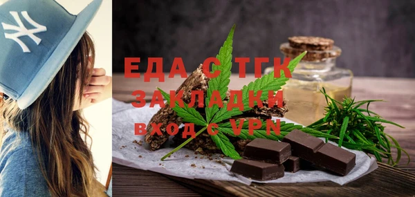 хмурый Аркадак