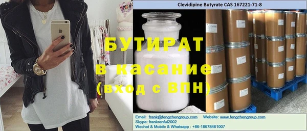хмурый Аркадак