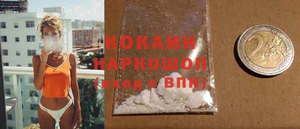 хмурый Аркадак
