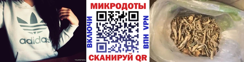 Псилоцибиновые грибы MAGIC MUSHROOMS  Приволжск 